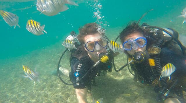 Brasil Tour Buceo con tabla - Ilha do Caitá