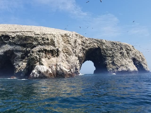 Lima Tour Wonder of the Ballestas Islands and the Huacachina Oasis 
