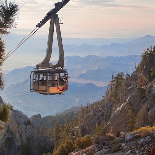 Palm Springs Ticket Teleférico de Palm Springs: entrada + transporte de ida e volta