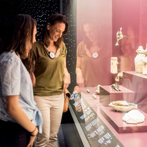 Lyon Ticket Museu da Confluência: Fast Track