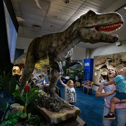 Nicholls Ticket National Dinosaur Museum: bilhete sem filas