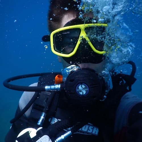 Qala Ticket Descubra a experiência de mergulho
