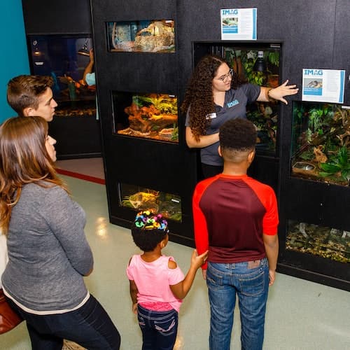 Fort Myers Ticket Centro de História e Ciência IMAG: bilhete de entrada