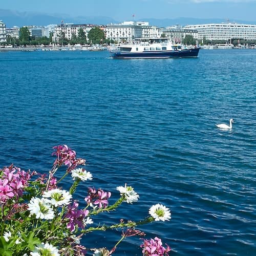 Geneva Ticket Passeio de barco em Genebra