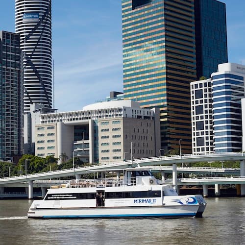 Brisbane Ticket Cruzeiro no rio Brisbane para o Santuário Lone Pine Koala