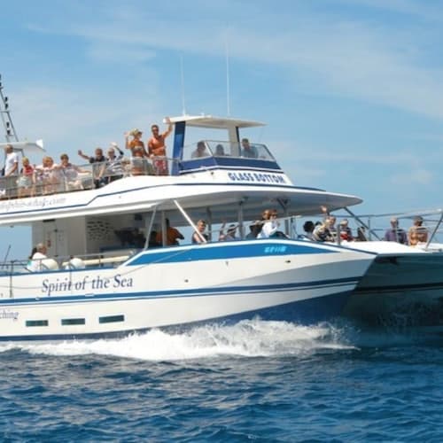 Puerto Rico de Gran Canaria Ticket Gran Canaria: Tour de Observação de Golfinhos