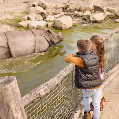 Mierlo Ticket Zoológico de Eindhoven