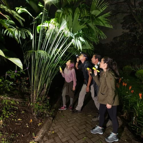 La Fortuna Ticket Caminhada Noturna Mística