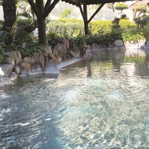 Osaka Ticket Naniwanoyu Spa Natural