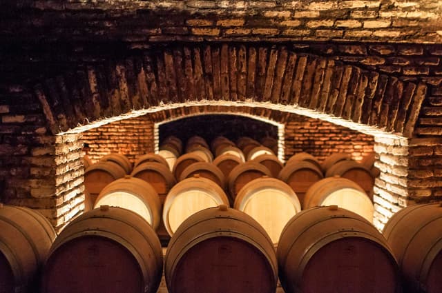 Santiago Tour Tour Premium Bodega Concha y Toro