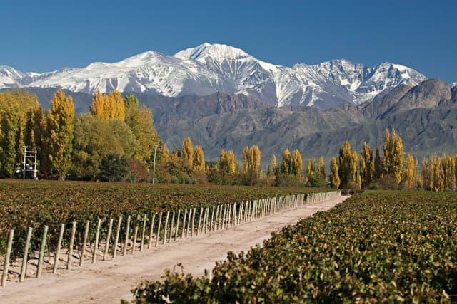 Mendoza Tour Experiência Valle de Uco saindo de Mendoza com almoço 
