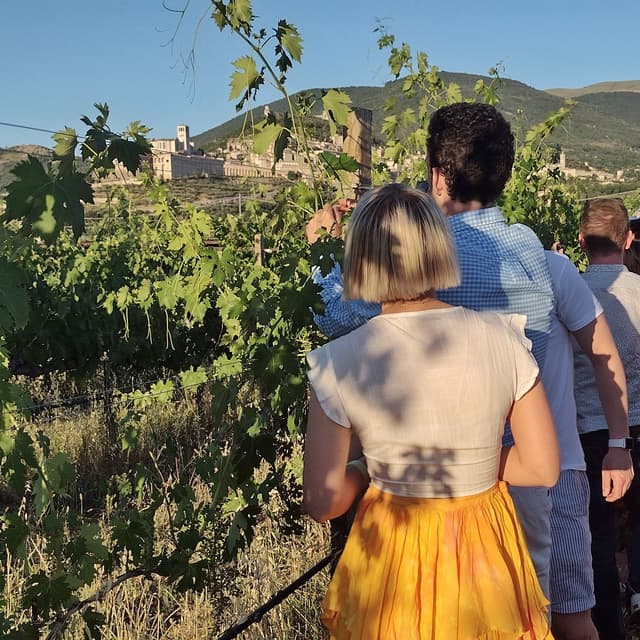 Itália Tour Almoço em Assisi com degustação e caminhada em vinícola 