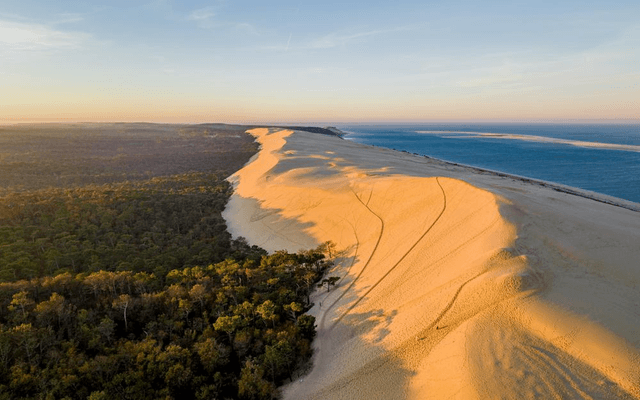 Bordeaux Tour Arcachon and Dune du Pilat Experience