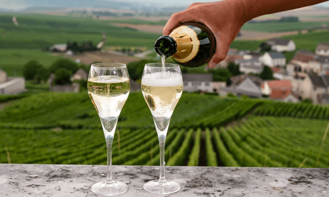 Reims Tour Experiencia con champán Moët &amp; Chandon: tour de un día