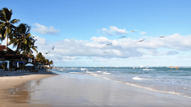 Recife Tour Combo: Traslado de ida y vuelta desde el aeropuerto de Recife a hoteles en Porto de Galinhas + Tour de un día en Maragogi con paseo en catamarán