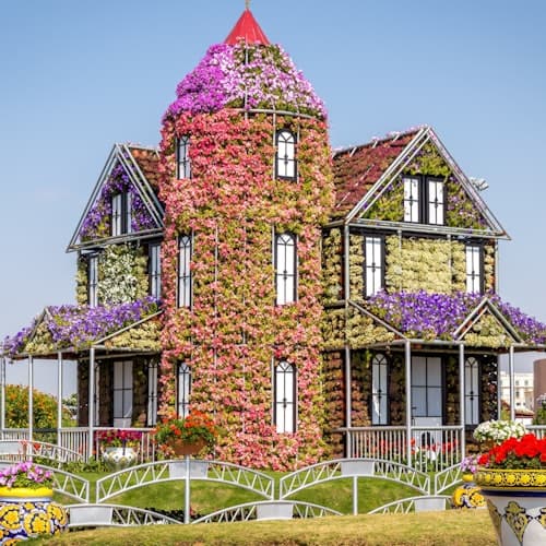 Dubai Ticket Dubai Miracle Garden: Ingresso de entrada
