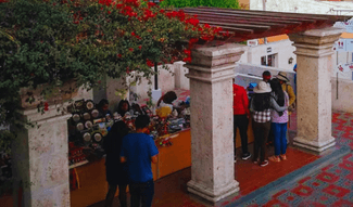 Arequipa Tour Walk through Campiña