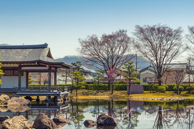 Tokyo Tour Los secretos mejor guardados de Tokio: descubre la ciudad a través de los ojos de los locales
