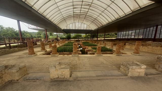 Coimbra Tour Tour guiado em Conimbriga, a cidade romana mais bem preservada de Portugal