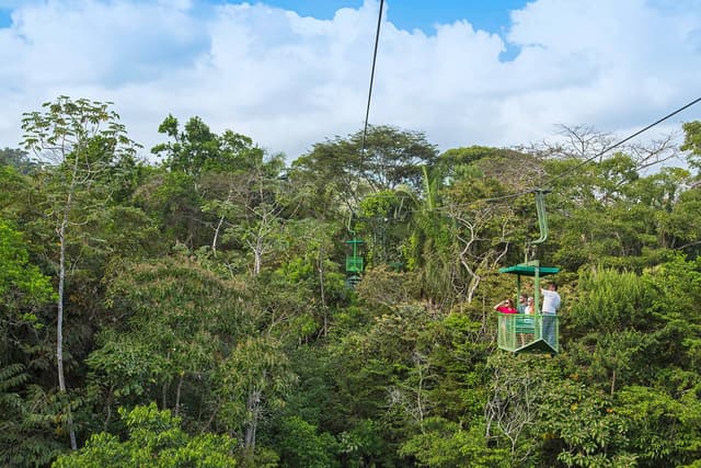 Panamá Tour Teleférico Gatún Gamboa y expedición con almuerzo