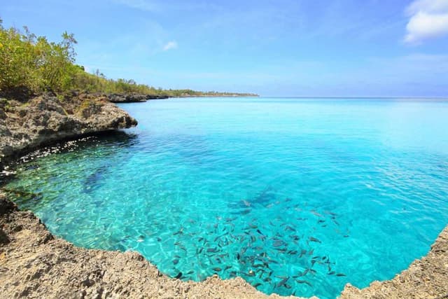 Isla de San Andrés Ticket Aquarium and Johnny Cay Tour