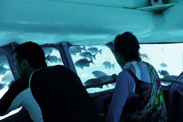 Isla de San Andrés Tour Semi-submarine in the Bay