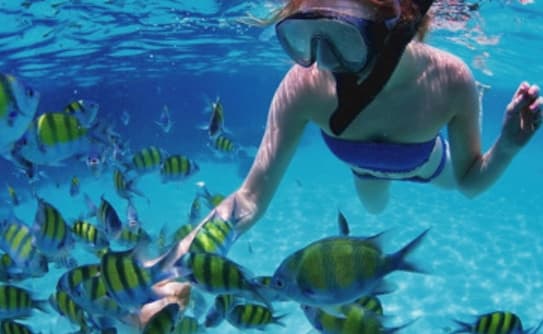 Panamá Tour Tour de día completo a San Blas (Guna Yala)