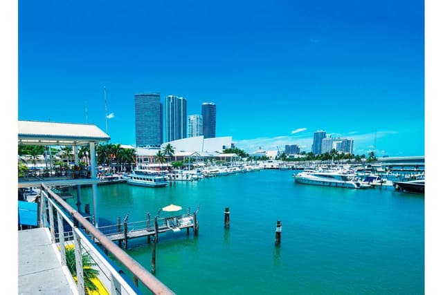 Miami Tour Recorrido en barco por la bahía de Biscayne