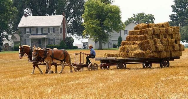 New York Tour One-Day Philadelphia and Amish Village Tour in Spanish