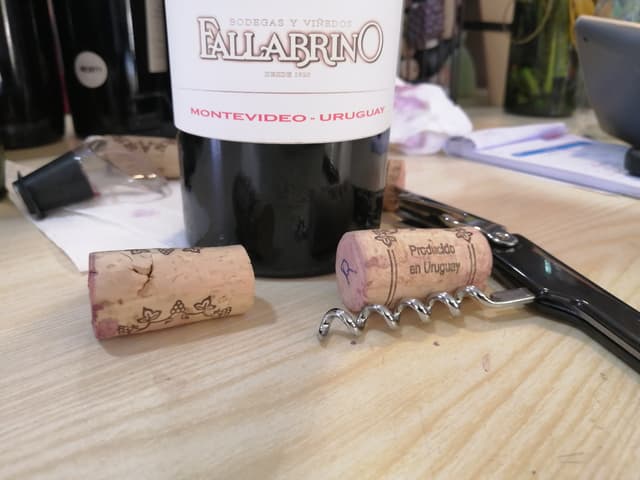 Montevideo Tour DISCOVERING TWO WINERIES - DARDANELLI FAMILY AND FALLABRINO
