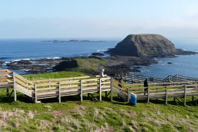 Melbourne Ticket Recorrido por la ciudad por la mañana + Phillip Island y Moonlight Sanctuary