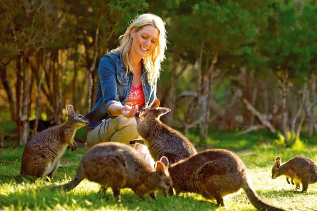 Melbourne Tour Recorrido por la vida silvestre de Phillip Island