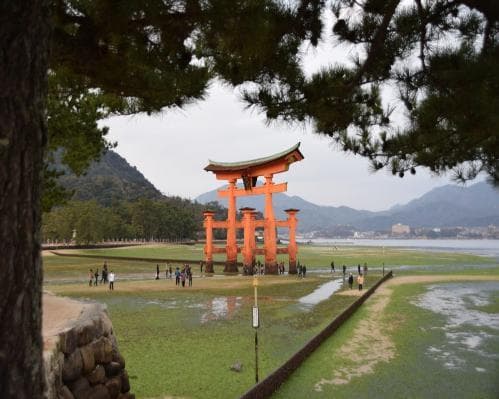 Kyoto Tour Recorrido en autobús de 1 día por Hiroshima y Miyajima desde Kioto