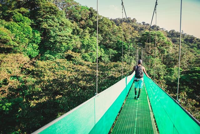Puntarenas Tour Sky Walk de Monteverde