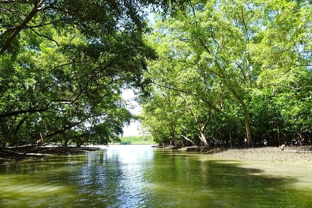 Bangkok Ticket Wat Bang Kung Temple and Mangrove Boat Tour from Bangkok