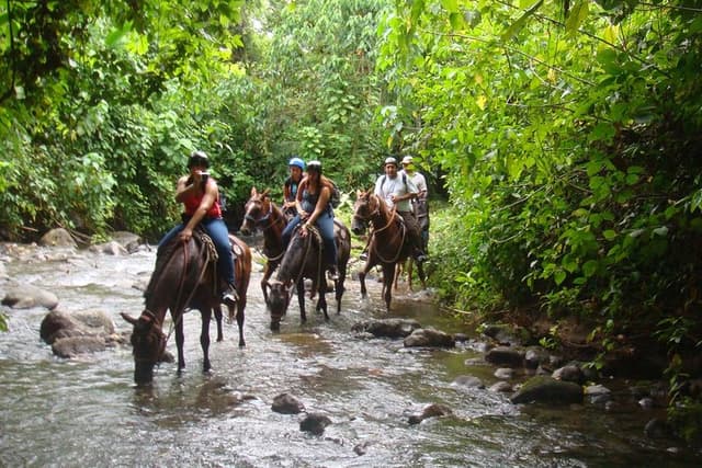 Alajuela Tour Passeio a cavalo até a Cachoeira La Fortuna saindo de Arenal