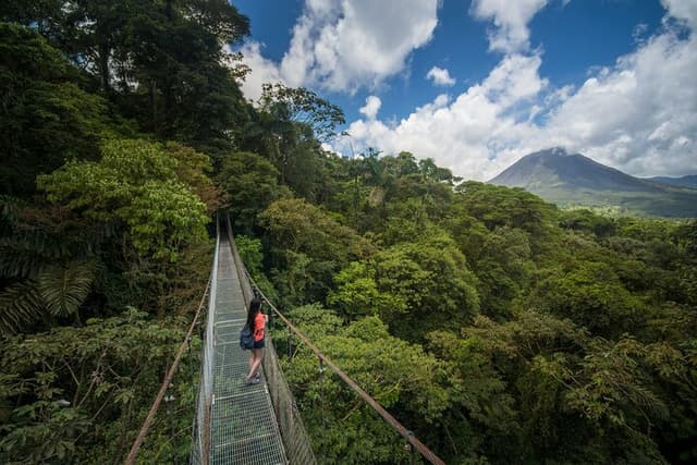 Alajuela Tour Pontes Suspensas de Arenal De Arenal