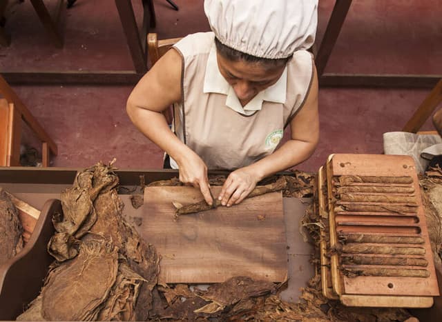 San Martín Tour Los tesoros escondidos de Tarapoto: recorridos por la ciudad, chocolate y animales