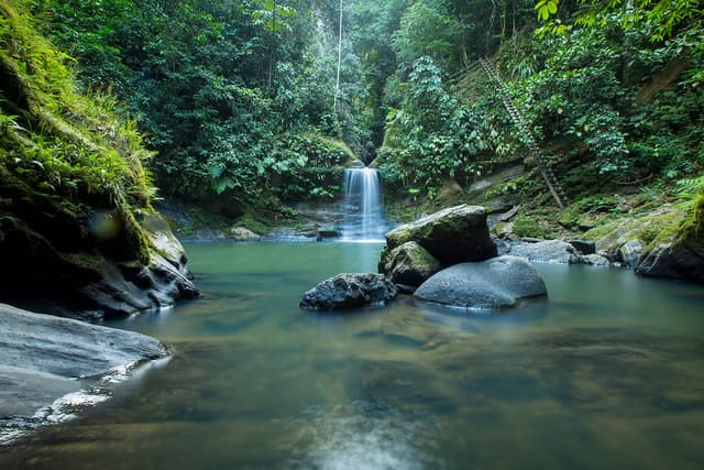 San Martín Tour Paraíso Selvático y Cascada Carpishuyacu y Termales de San José
