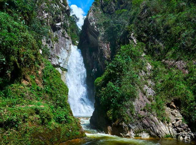 Oxapampa Tour Expedição Villa Rica: Cultura do Café e Descoberta da Floresta Tropical