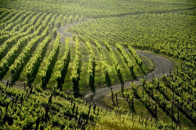 Santiago Tour Haras de Pirque Vineyard with transfers
