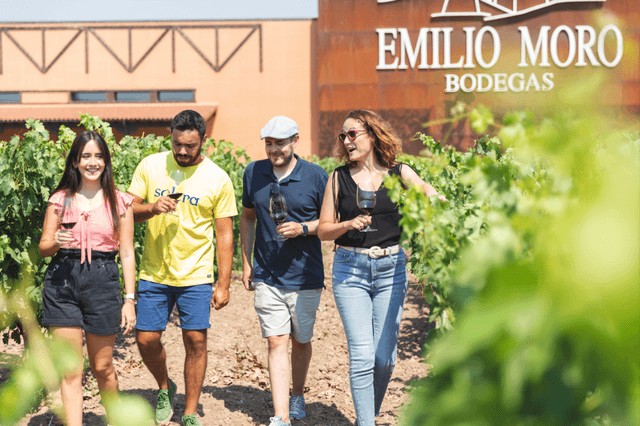 Santiago de Compostela Tour Desde Santiago de Compostela: Segredos de El Bierzo, Visita a Adega e Degustação de Vinho em El Bierzo com Flexibilidade de Datas