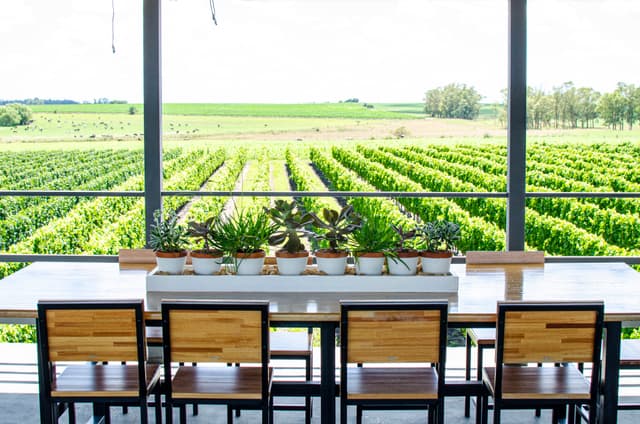 Colonia del Sacramento Ticket Fripp Winery with guided tour, lunch and wine tasting