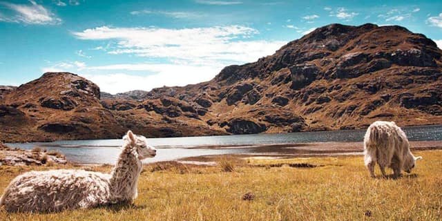 Cuenca Tour Tour to Cajas National Park