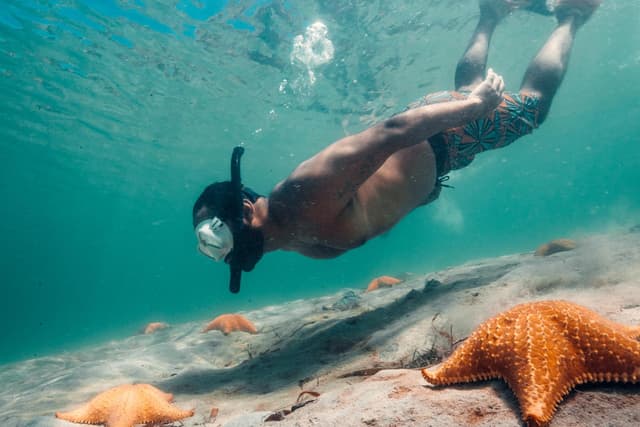 Bocas del Toro Tour Discover Playa Estrella in Bocas del Toro: Nature, Starfish, and Idyllic Beaches