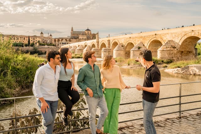 Seville Tour Seville to Cordoba Day Trip with Mosque-Cathedral - Premium Small Group Tour