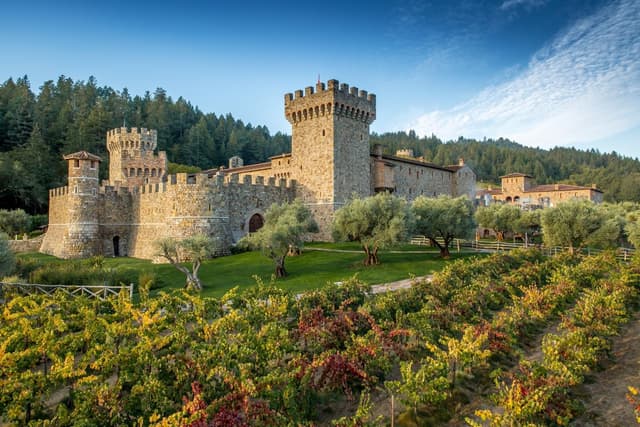 San Francisco Tour Recorrido gastronómico y vinícola exclusivo por el valle de Napa (grupo pequeño)