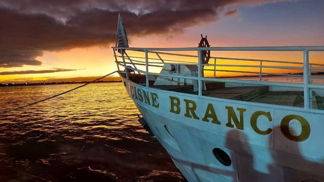 Porto Alegre Tour Barco Cisne Blanco - Boleto de navegación en el Guaíba