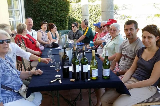 Cape Town Tour Degustação privada de vinhos e tour histórico pela cultura sul-africana