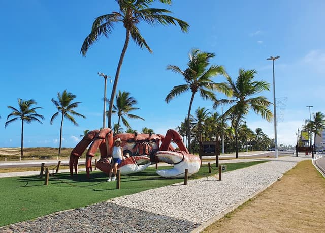 Aracaju Tour City Tour em Aracaju (Para hotéis na Orla)